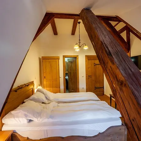 Casa Kroner シギショアラ